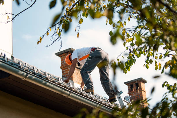 Best New Roof Installation  in Savannah, GA
