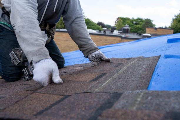 Best Roof Leak Repair  in Savannah, GA